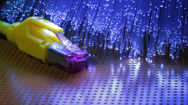 The picture shows the connector of a data cable and luminous optical fibres.