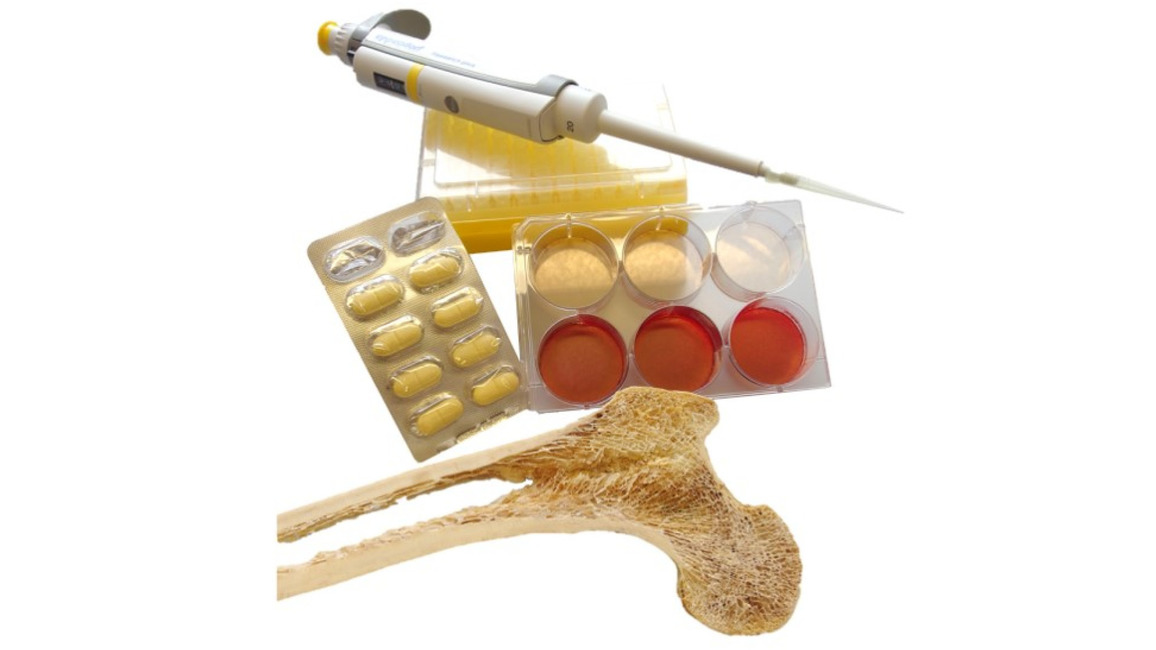 Longitudinal cut of a bone, next to it a cell culture dish with red liquid in it, a blister of pills, a pipette and pipette tips